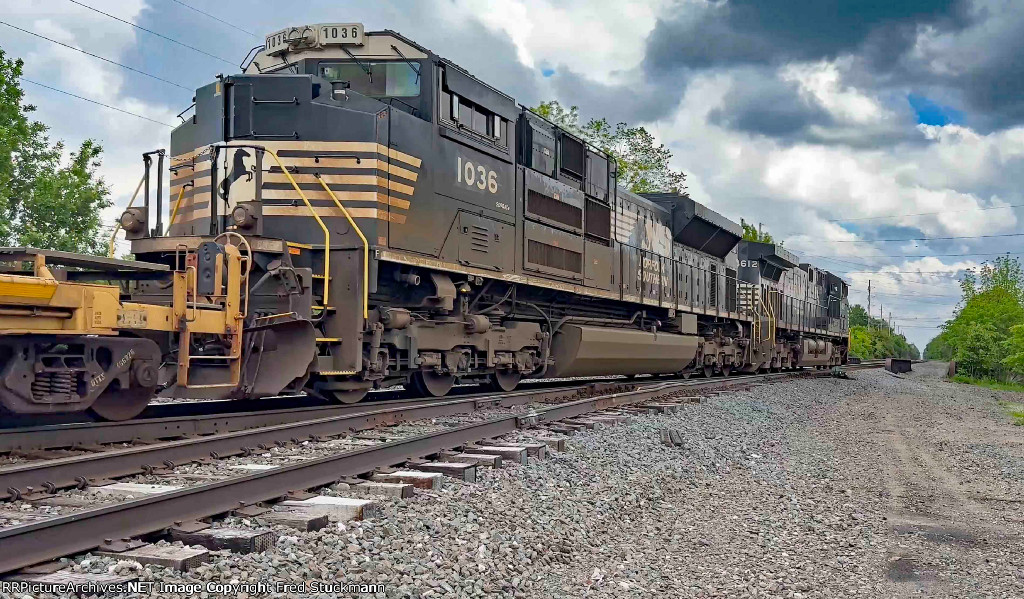 NS 1036